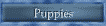 Puppies