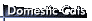 Domestic Cats